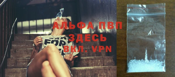 винт Абаза