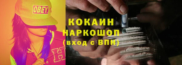 винт Абаза