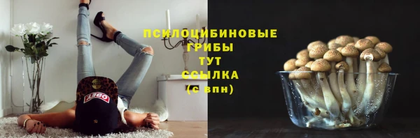 винт Абаза