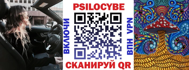где найти   Фокино  Галлюциногенные грибы ЛСД 